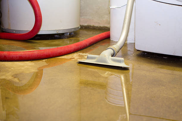 Water damage restoration process in Carrizozo, NM