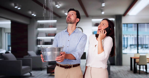 Best Ceiling water damage repair  in Carrizozo, NM